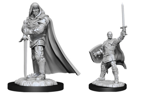 D&D Nolzur's Marvelous Miniatures: Male Human Paladin