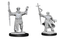 D&D Nolzur's Marvelous Miniatures: Male Human Wizard