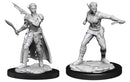 D&D Nolzur's Marvelous Miniatures: Female Shifter Rogue