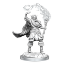 D&D Nolzur's Marvelous Miniatures: Elf Cleric Male