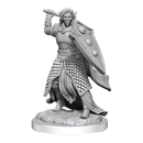 D&D Nolzur's Marvelous Miniatures: Elf Cleric Male