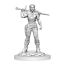 D&D Nolzur's Marvelous Miniatures: Orc Fighter Female