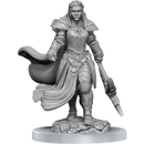 D&D Nolzur's Marvelous Miniatures: Orc Fighter Female