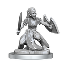 D&D Nolzur's Marvelous Miniatures: Shifter Fighter