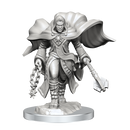 D&D Nolzur's Marvelous Miniatures: Aasimar Cleric Male