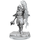 D&D Nolzur's Marvelous Miniatures: Half-Elf Warlock