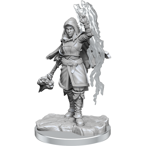 D&D Nolzur's Marvelous Miniatures: Half-Elf Warlock