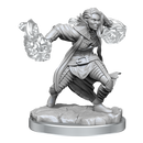 D&D Nolzur's Marvelous Miniatures: Half-Elf Warlock