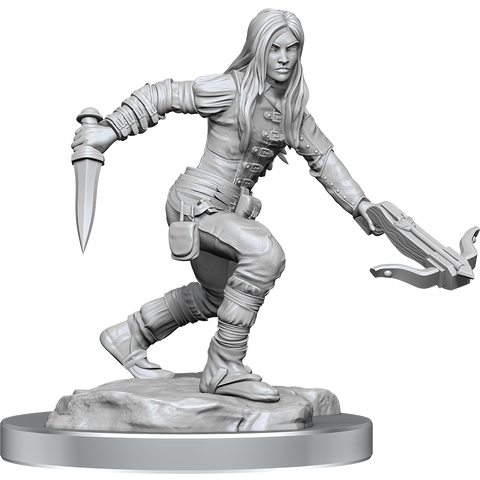D&D Nolzur's Marvelous Miniatures: Half-Elf Rogue Female