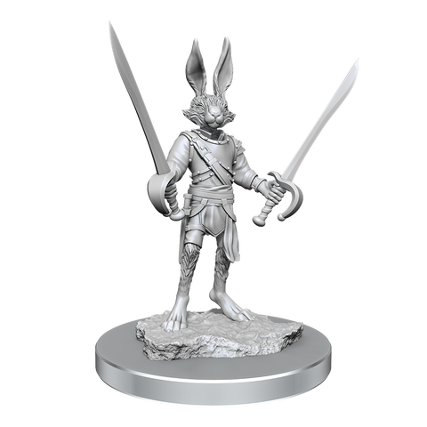 D&D Nolzur's Marvelous Miniatures: Harengon Rogues