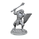 D&D Nolzur's Marvelous Miniatures: Dragonborn Clerics