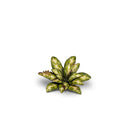 Gamers Grass: Laser Plants - Dumb Cane