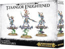 Age of Sigmar: Tzeentch Arcanites - Tzaangor Enlightened